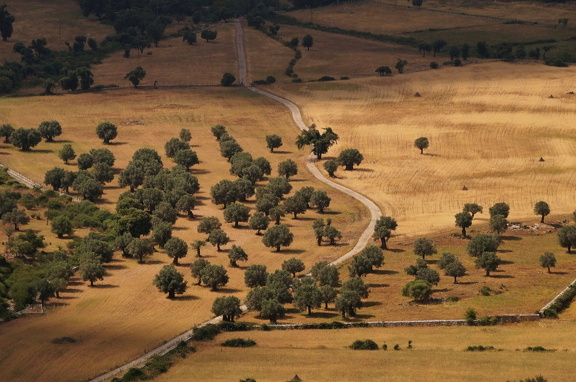 Serra Tramuntana