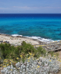 Cala Mesquida