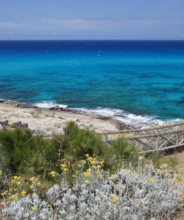 Cala Mesquida