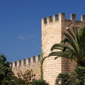 Palma