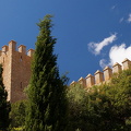 Sant Salvador, Arta