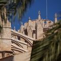 Sa Seu, Palma