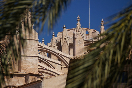 Sa Seu, Palma