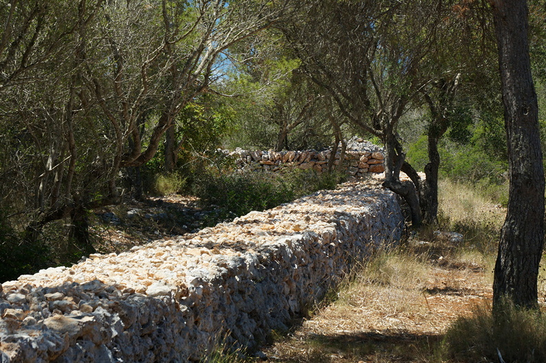 Cala Mondragó