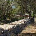 Cala Mondragó