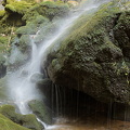 Reserva Puig de Galatzó