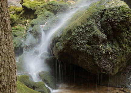 Reserva Puig de Galatzó