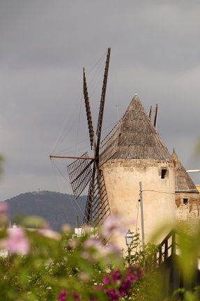 Museo de los molinos, Palma