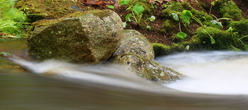 Harz 04