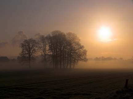 Münsterland 06