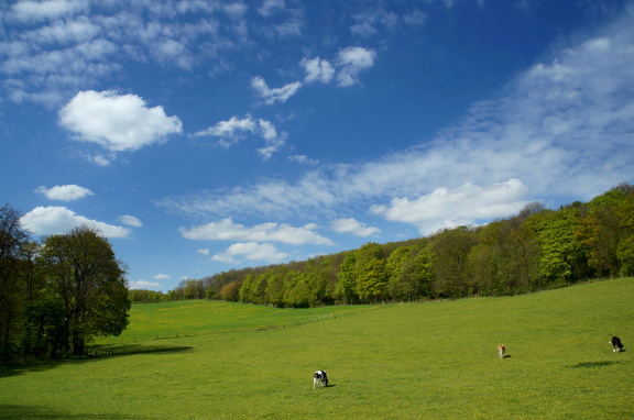 Teutoburger Wald 01