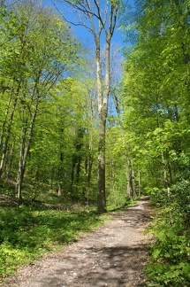 Teutoburger Wald 02