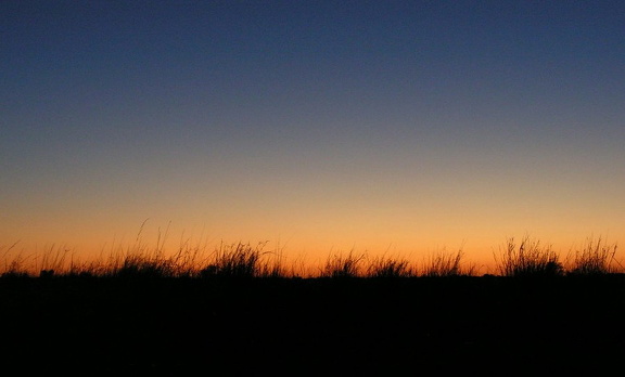 Sonnenuntergang im Outback