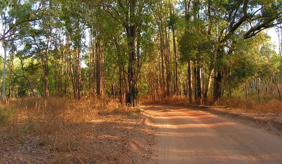 Im Kakadu National Park