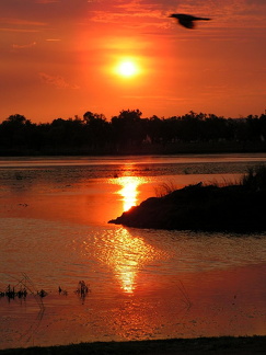 Kununurra, Timber Creek