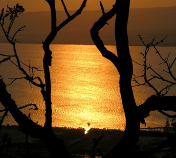 Five River Lookout