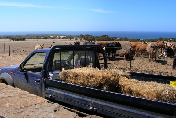 Kangaroo Island, Pauls Place