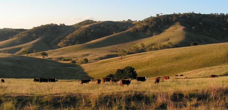 Blue Mountains, The Hinterland