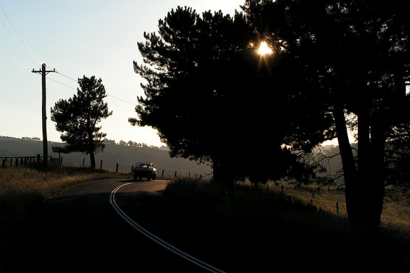 Hinter den Blue Mountains