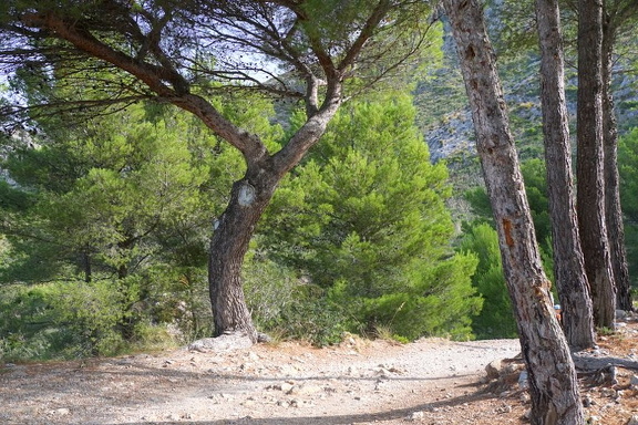 Punta d'es Carlo