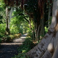 Jardín Botánico, Puerto de la Cruz