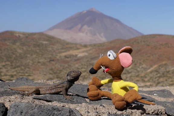 Mirador observatorio del Teide