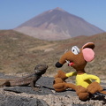 Mirador observatorio del Teide