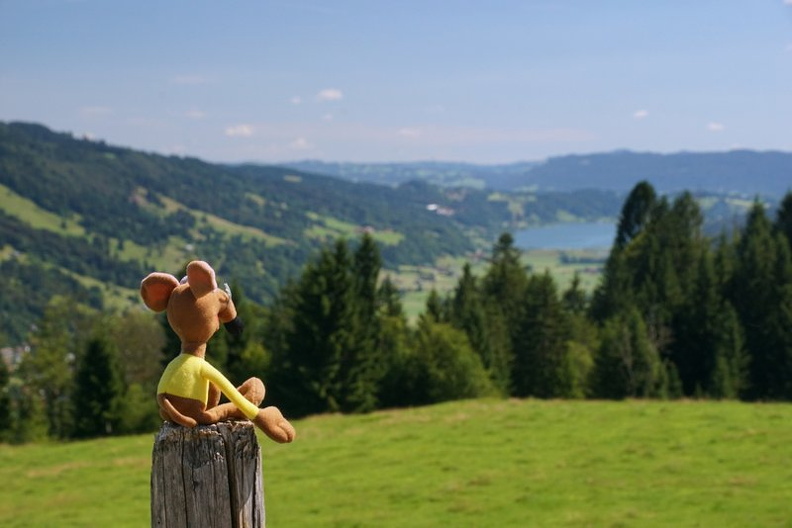 Allgäu, Großer Alpsee