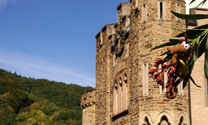 Koblenz, Schloss Stolzenfels